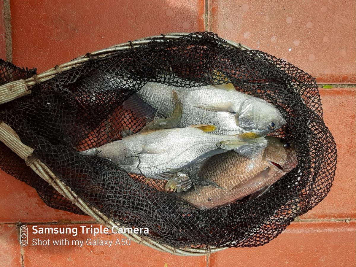 Cheenavala Fishing Homestay Kochi Eksteriør billede